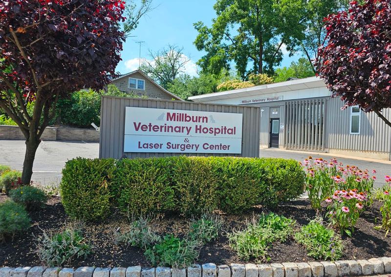 Carousel Slide 7: Millburn Veterinary Hospital